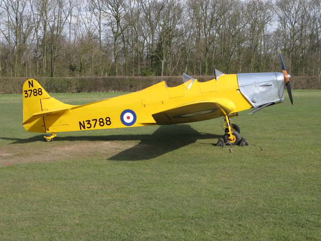 IMAGE: http://i291.photobucket.com/albums/ll281/Biffo58/031211_2178_filtered.jpg