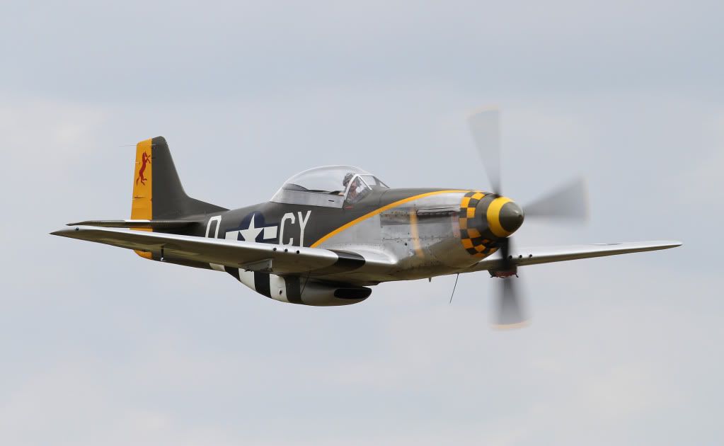 IMAGE: http://i291.photobucket.com/albums/ll281/Biffo58/071011_2834_edited-1.jpg