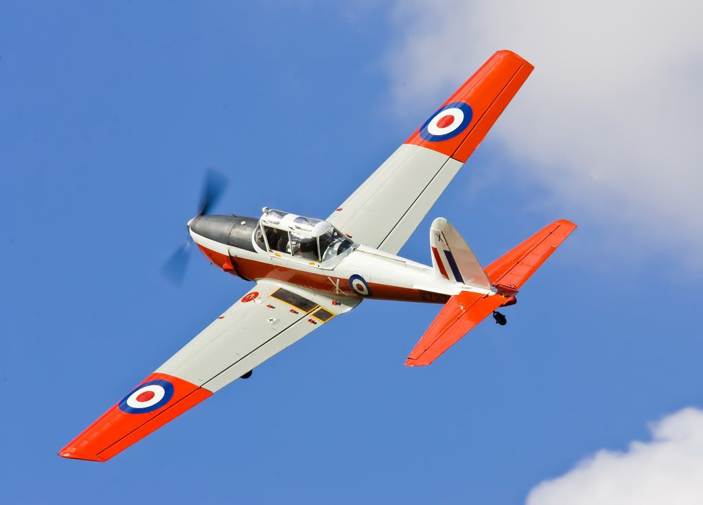 IMAGE: http://i291.photobucket.com/albums/ll281/Biffo58/Chipmunk_filtered.jpg