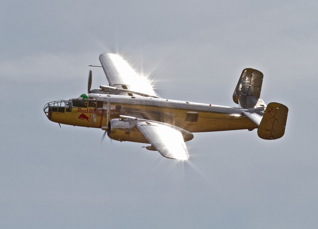 IMAGE: http://i291.photobucket.com/albums/ll281/Biffo58/IMG_7591_zps8au474fm.jpg