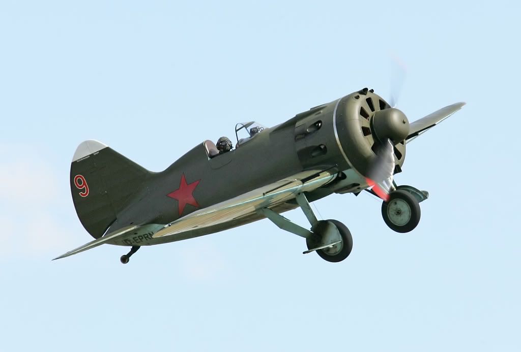 IMAGE: http://i291.photobucket.com/albums/ll281/Biffo58/Rata_filtered.jpg