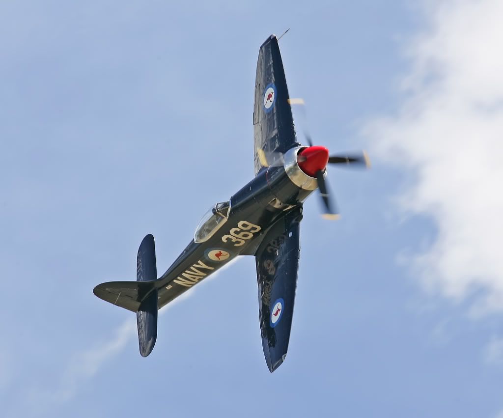 IMAGE: http://i291.photobucket.com/albums/ll281/Biffo58/SeaFury_filtered.jpg