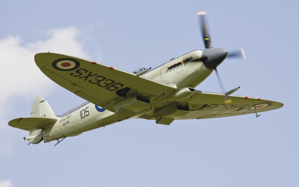 IMAGE: http://i291.photobucket.com/albums/ll281/Biffo58/SeafireSX336_filtered.jpg