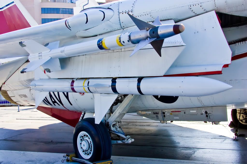 IMAGE: http://i291.photobucket.com/albums/ll281/Biffo58/SidewinderandSparrow-F-14Tomcat_filtered.jpg