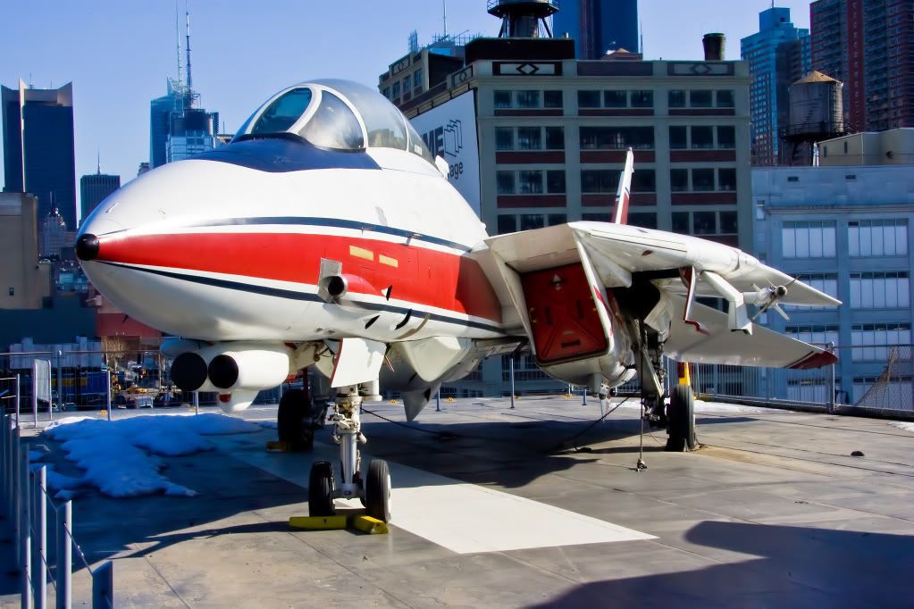 IMAGE: http://i291.photobucket.com/albums/ll281/Biffo58/Tomcat-USSIntrepid-NewYork2011_filtered.jpg