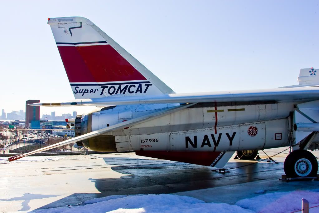 IMAGE: http://i291.photobucket.com/albums/ll281/Biffo58/TomcatTailend_filtered.jpg