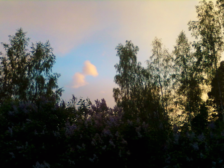 Click image to see full size (opens in this window) İmage