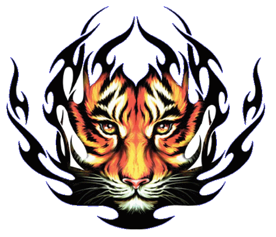 Tiger Tattoos, Tiger Tattoo Designs, Tattoos Tigers, Tribal Tiger Tattoos,