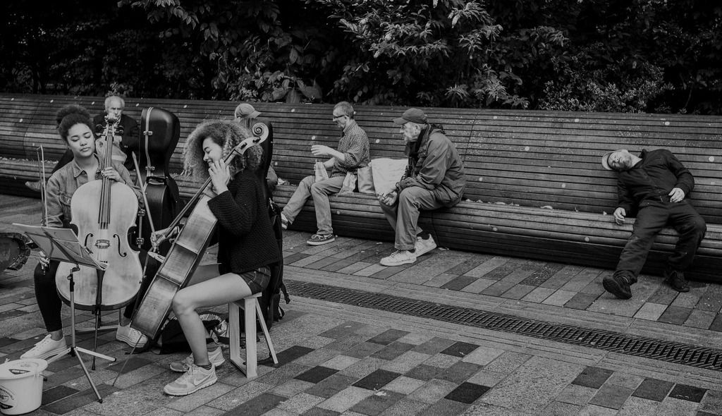 Fotografie