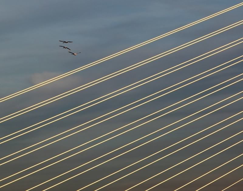 Fotografie