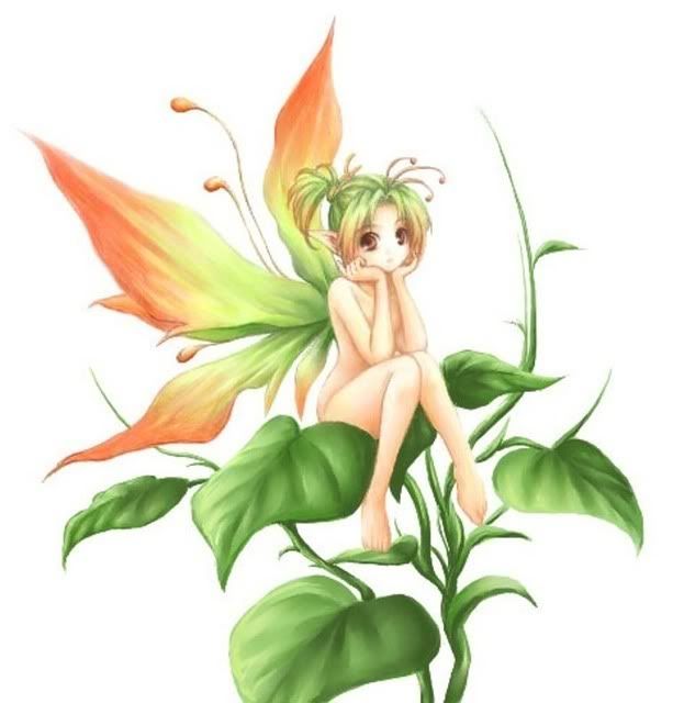 fairy