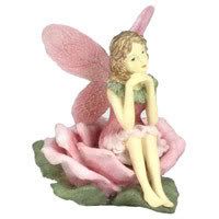fairy