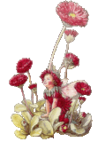 fairy