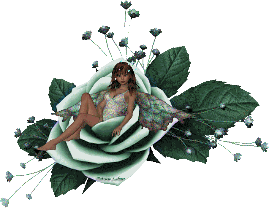 fairy