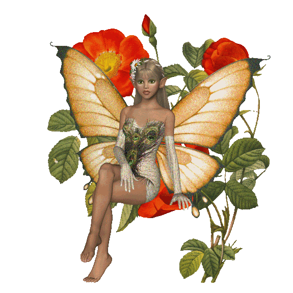 fairy