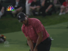 2wmnyh1.gif