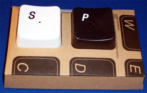 PC Keyboard Salt and Pepper Shakers