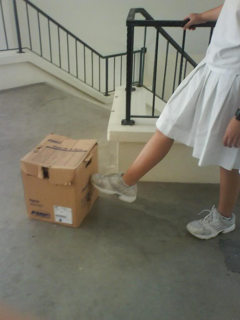 kicking-box[rotated]