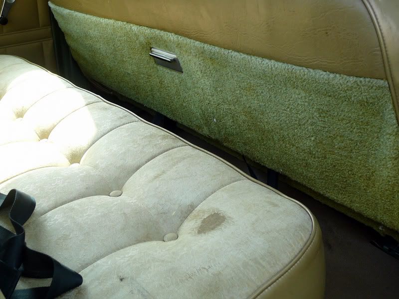 P1000597.jpg