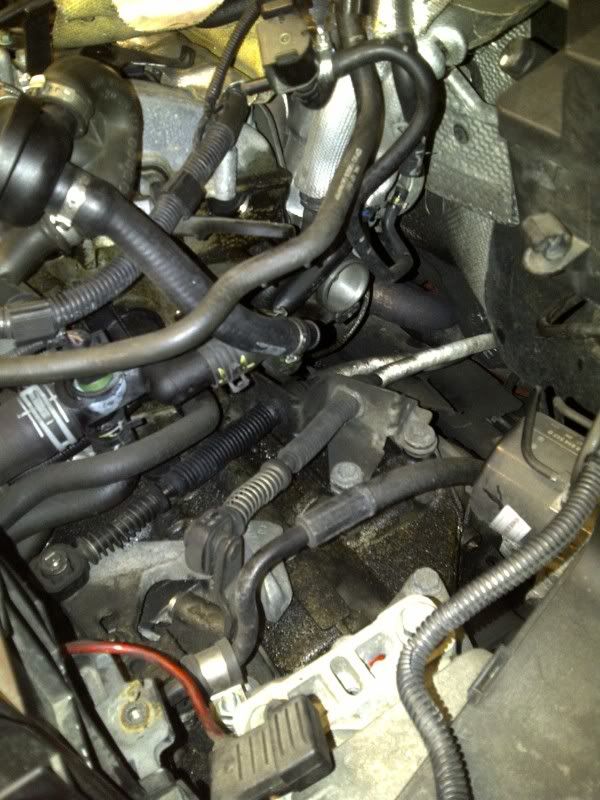 IMG-20101230-00122.jpg