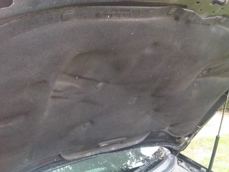 IMG00108-20100821-1203.jpg