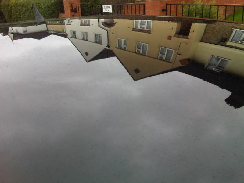 IMG00116-20100821-1610.jpg
