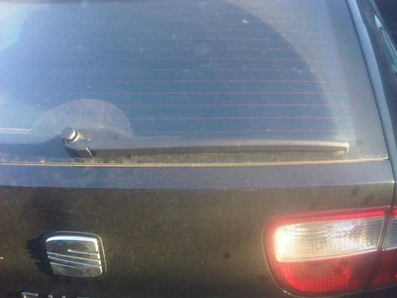 IMG00224-20101017-1635.jpg