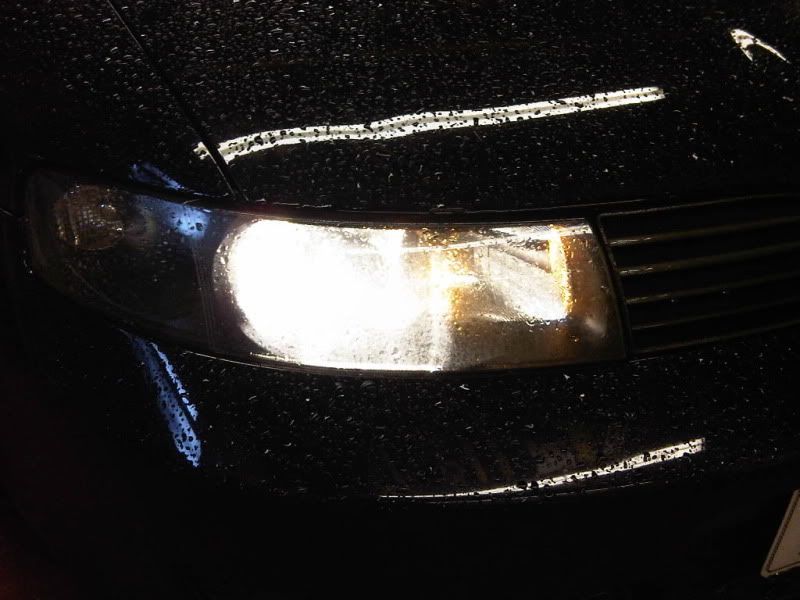 IMG00234-20101031-1406.jpg