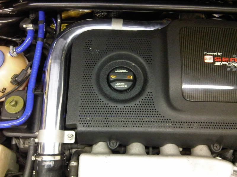 IMG00264-20101110-1642.jpg