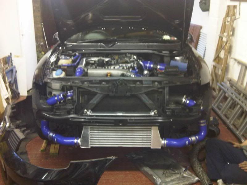 IMG00294-20101113-1514.jpg