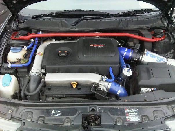 before.jpg