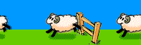 Schapen tellen snel