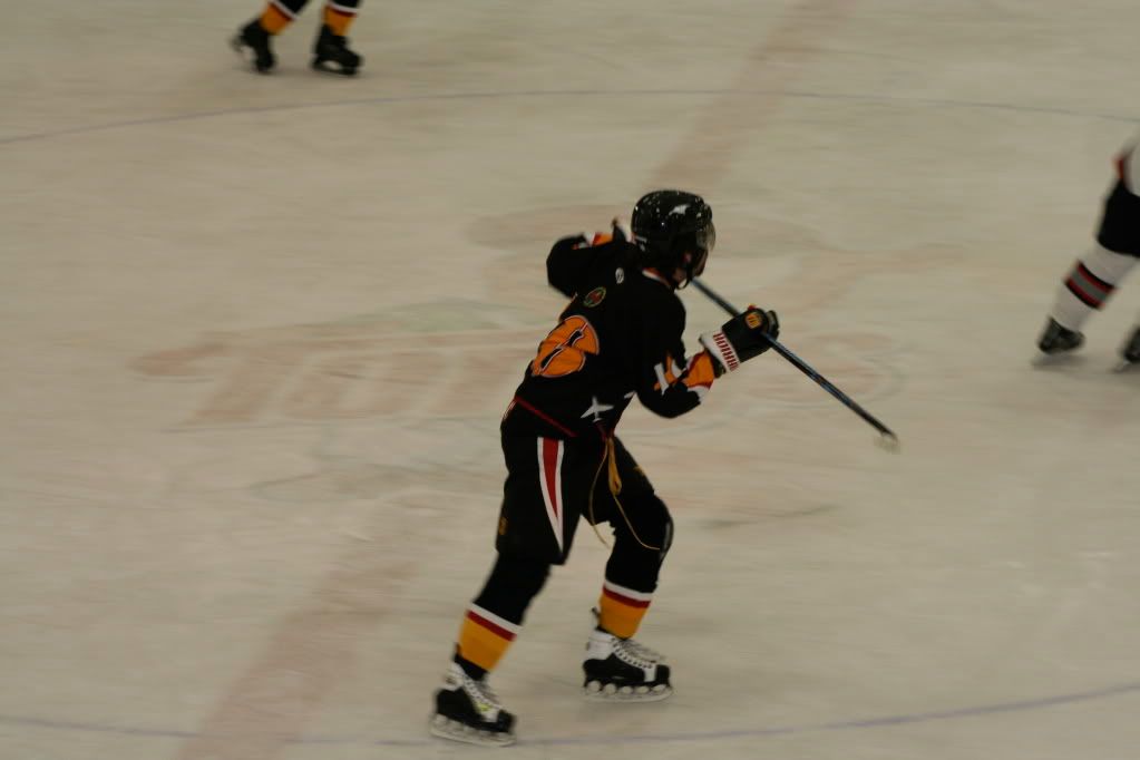 MSP09133.jpg