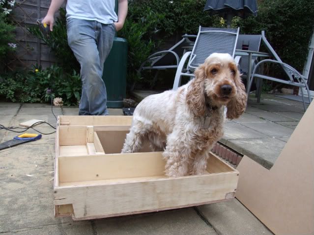 dog crate for vw polo