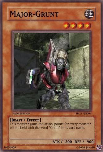 majgrunt.jpg