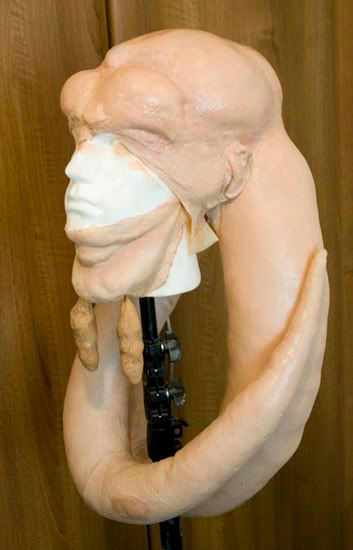 Bib-1.jpg