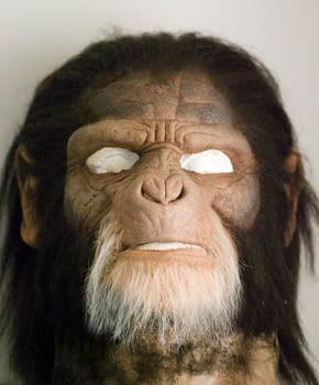Maskrevamp.jpg