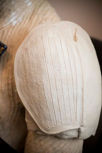 Shouldersculpt.jpg