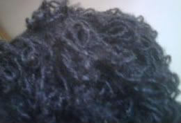 Week 2 Soft Spike Curls