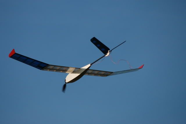 DSC_6529.jpg