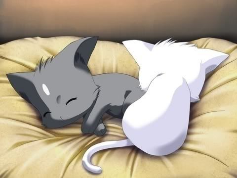 pictures of anime cats. Cutest Anime Cats?