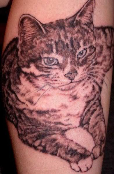 Tatuagem de gatinho