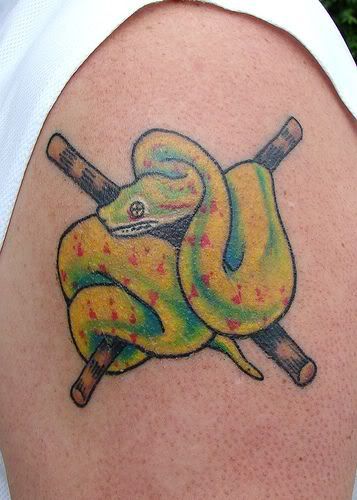 Fotos de modelos de tatuagens de cobra(perna,braço,ombro,costas)