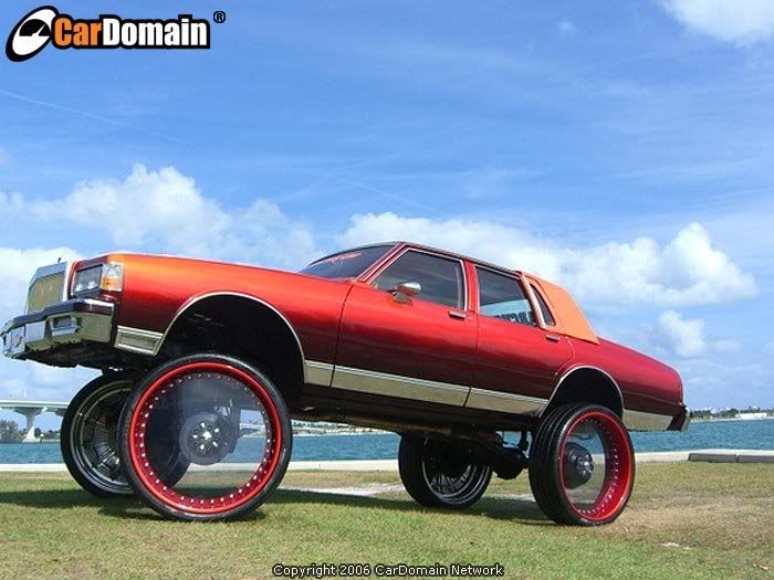 donk photo: Donk donk.jpg