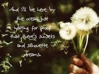 dandelions Pictures, Images and Photos