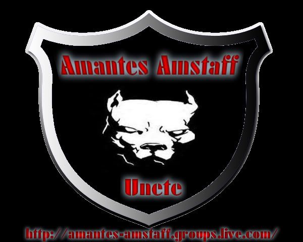 amantes amstaff Pictures, Images and Photos
