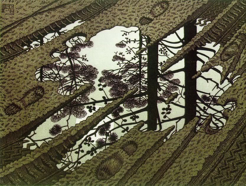 Escher-Puddle1952.jpg