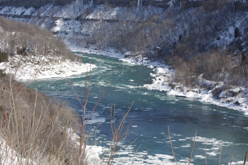 IMAGE: http://i291.photobucket.com/albums/ll293/Chopper_Al/NF1.jpg