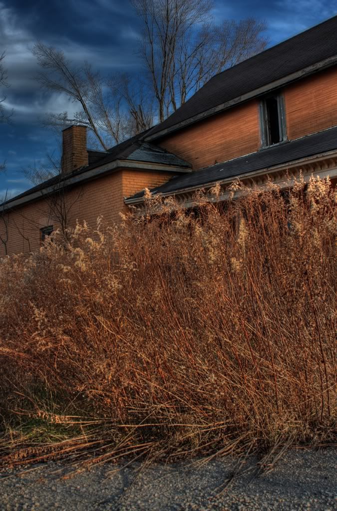 IMAGE: http://i291.photobucket.com/albums/ll293/Chopper_Al/Photography/Rebecca3-1.jpg