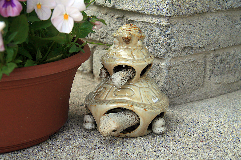 IMAGE: http://i291.photobucket.com/albums/ll293/Chopper_Al/turtle.png